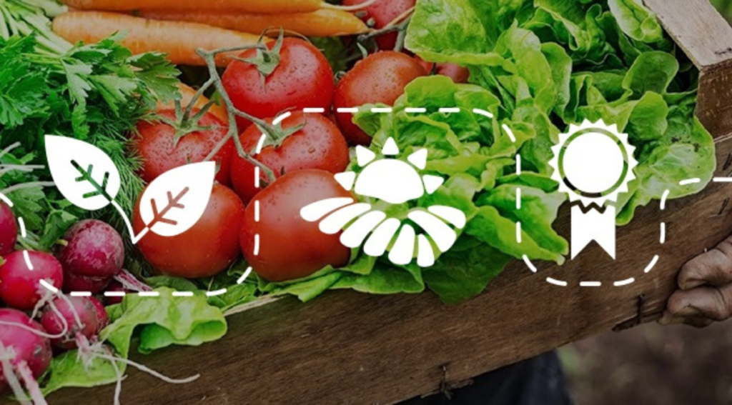 Marketing Digital para Certificações Orgânicas: Como Conquistar Produtores e Consumidores