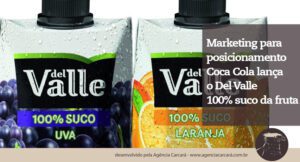 Jogada de marketing? Coca Cola lança Del Valle com 100% Suco, uma bebida feita apenas com a fruta. O objetivo, segundo a empresa, é incrementar o portfólio da marca e oferecer mais opções para o consumidor que busca cada vez mais alimentação mais saudável.