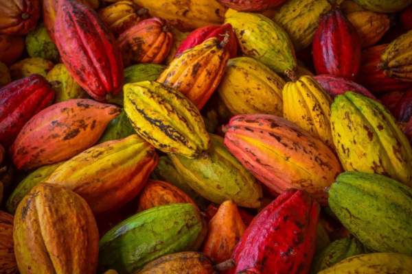 A Carcará, agência especializada em Agromarketing, te ajuda a construir uma estratégia de marketing internacional que abre novas portas para o seu negócio, conquistando o paladar do mundo e colhendo os frutos do sucesso global.