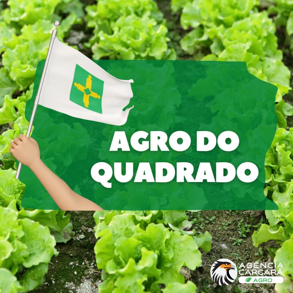 O marketing digital é uma ferramenta poderosa para impulsionar o crescimento do agronegócio do Distrito Federal, o chamado Agro do Quadrado, contribuindo para a ampliação do mercado, o fortalecimento da marca, a atração de novos clientes e o aumento das vendas.
