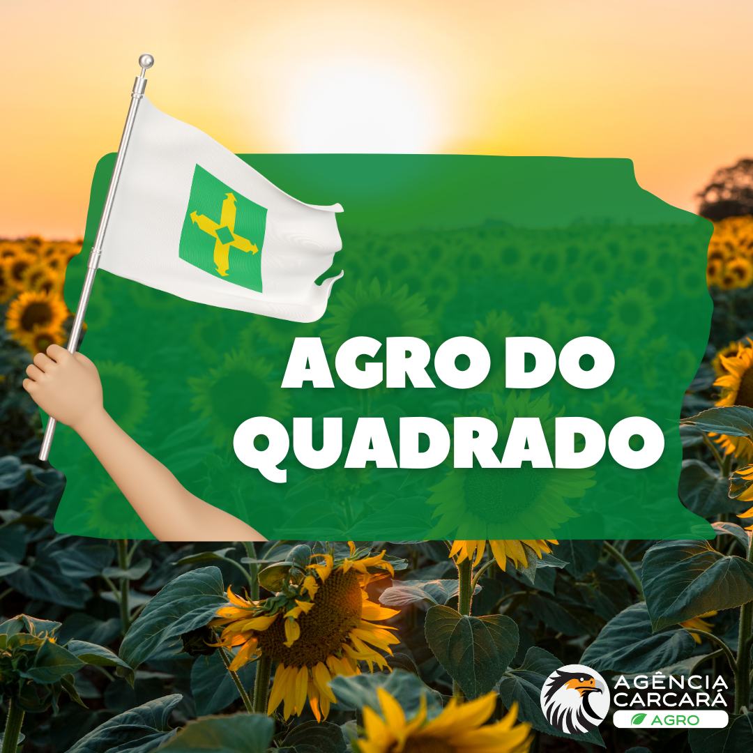 Agro do Quadrado: O Agronegócio do DF e o Marketing Rural - Agência ...