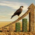 Sua Marca no Agro Está Apenas Existindo ou Construindo um Futuro?