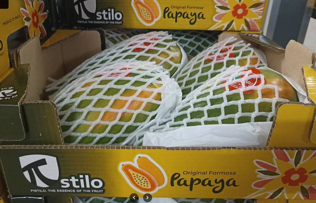 De Baraúna, no coração do Rio Grande do Norte, para as mesas mais exigentes da Alemanha, França, Inglaterra, Espanha, Portugal e muitos outros países da Europa. Essa é a jornada do Mamão Formosa cultivado pela Pistilo Frutas, uma empresa que, há 26 anos, transforma a terra em frutos de excelência e leva o nome do Brasil para o mundo. Mas, diante de um legado tão rico, de um compromisso com a qualidade que atravessa fronteiras e da necessidade de se destacar em mercados globais competitivos, como garantir que a identidade visual de uma marca capture toda essa história, projete sua visão de futuro e conquiste o reconhecimento que merece? Esse era o desafio para a Pistilo Frutas. Eles cultivam mais do que frutas; cultivam um compromisso com a qualidade e a inovação. Precisavam de uma identidade visual que refletisse essa essência, que falasse a língua do mercado global e que mantivesse a força de suas raízes em Baraúna. E na Agência Carcará, especialista em transformar potencial em comunicação estratégica, entendemos que a resposta não estava em um simples "retoque" na logo, mas em uma arquitetura de marca que resolvesse os desafios de posicionamento, reconhecimento e conexão em cada ponto de contato visual. Com a mesma paixão e estratégia que nos movem, iniciamos nossa parceria com a Pistilo para cultivar sua nova fase visual.