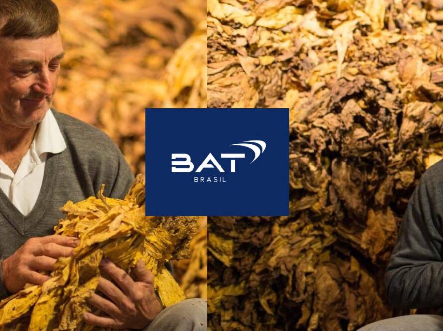 BAT Brasil e Agência Carcará: 6 Anos de Marketing Estratégico e Comunicação para o Agronegócio e Agroindústria do Tabaco! A indústria do tabaco é, sem dúvida, um dos segmentos mais complexos e desafiadores do agronegócio e da agroindústria brasileira. Ela une a tradição secular do cultivo no campo com o rigor da produção industrial em larga escala, a complexidade de um mercado global altamente regulado e a responsabilidade social de impactar milhares de famílias de produtores rurais. Em um cenário assim, onde a percepção pública é sensível e a comunicação precisa ser precisa, transparente e estratégica, como uma empresa líder garante que sua mensagem – sobre qualidade, sustentabilidade, relação com o produtor e excelência operacional – não apenas chegue, mas ressoe e construa confiança com todos os seus públicos?