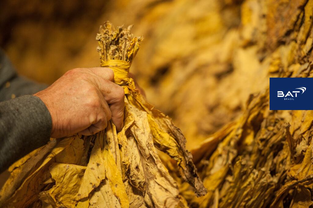 A Agência Carcará de Marketing para o Agronegócio: Seu parceiro para o sucesso no Marketing Rural e AgroMarketing. O agronegócio brasileiro é um gigante em constante crescimento, e para se destacar nesse mercado competitivo, as empresas rurais precisam de uma estratégia de marketing eficiente. É aí que entra a Agência Carcará de AgroMarketing, sua aliada para alcançar o sucesso no Marketing Rural. O marketing rural no agronegócio é crucial para o sucesso de qualquer empresa do setor