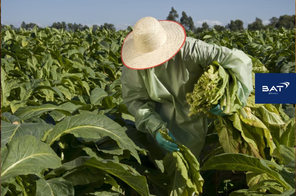 A Agência Carcará de Marketing para o Agronegócio: Seu parceiro para o sucesso no Marketing Rural e AgroMarketing. O agronegócio brasileiro é um gigante em constante crescimento, e para se destacar nesse mercado competitivo, as empresas rurais precisam de uma estratégia de marketing eficiente. É aí que entra a Agência Carcará de AgroMarketing, sua aliada para alcançar o sucesso no Marketing Rural. O marketing rural no agronegócio é crucial para o sucesso de qualquer empresa do setor