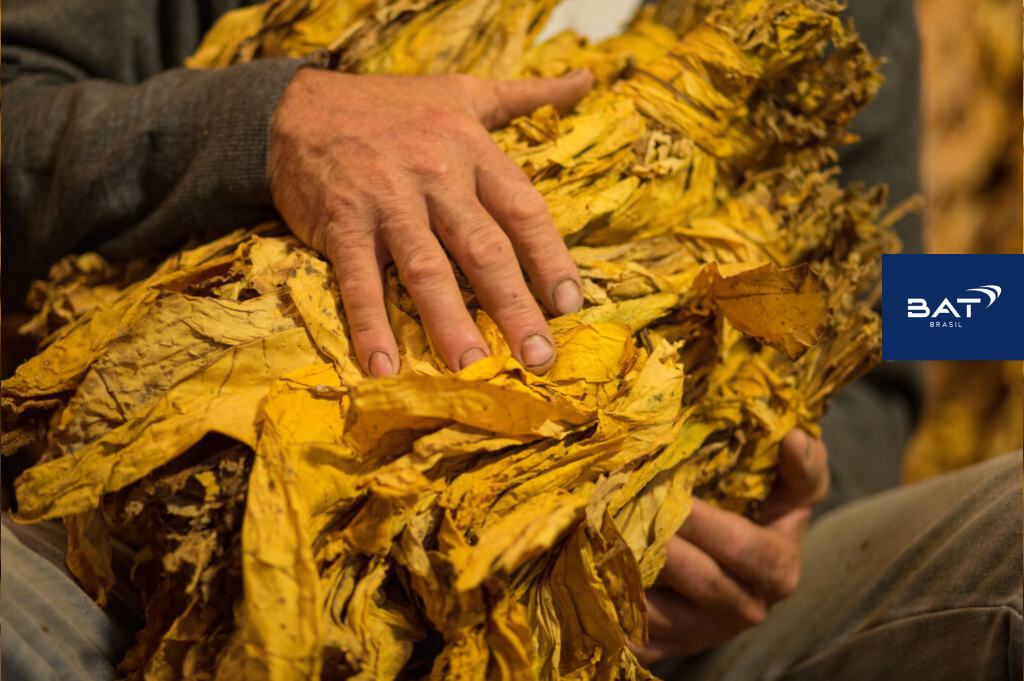 A Agência Carcará de Marketing para o Agronegócio: Seu parceiro para o sucesso no Marketing Rural e AgroMarketing. O agronegócio brasileiro é um gigante em constante crescimento, e para se destacar nesse mercado competitivo, as empresas rurais precisam de uma estratégia de marketing eficiente. É aí que entra a Agência Carcará de AgroMarketing, sua aliada para alcançar o sucesso no Marketing Rural. O marketing rural no agronegócio é crucial para o sucesso de qualquer empresa do setor