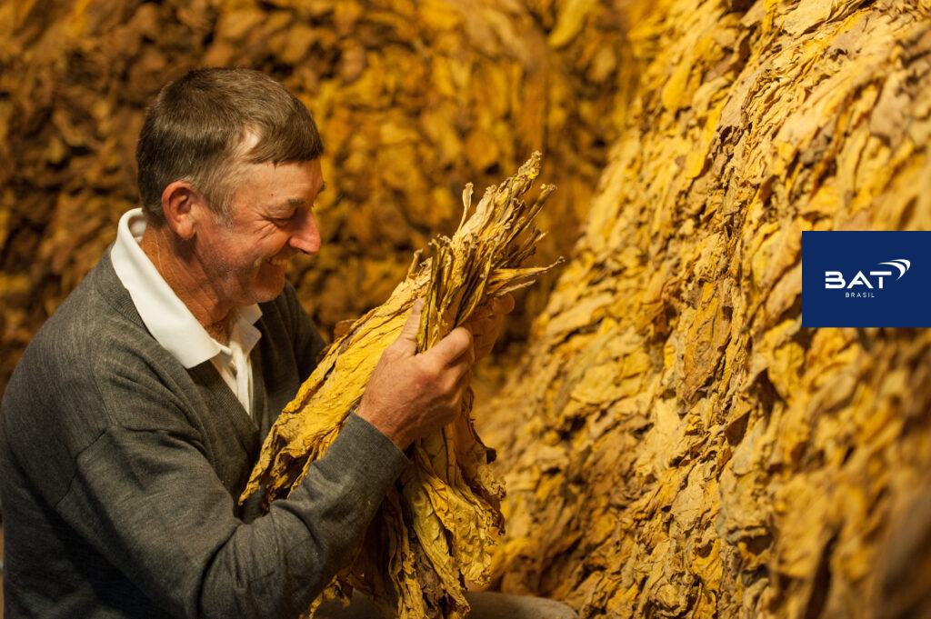 A Agência Carcará de Marketing para o Agronegócio: Seu parceiro para o sucesso no Marketing Rural e AgroMarketing. O agronegócio brasileiro é um gigante em constante crescimento, e para se destacar nesse mercado competitivo, as empresas rurais precisam de uma estratégia de marketing eficiente. É aí que entra a Agência Carcará de AgroMarketing, sua aliada para alcançar o sucesso no Marketing Rural. O marketing rural no agronegócio é crucial para o sucesso de qualquer empresa do setor