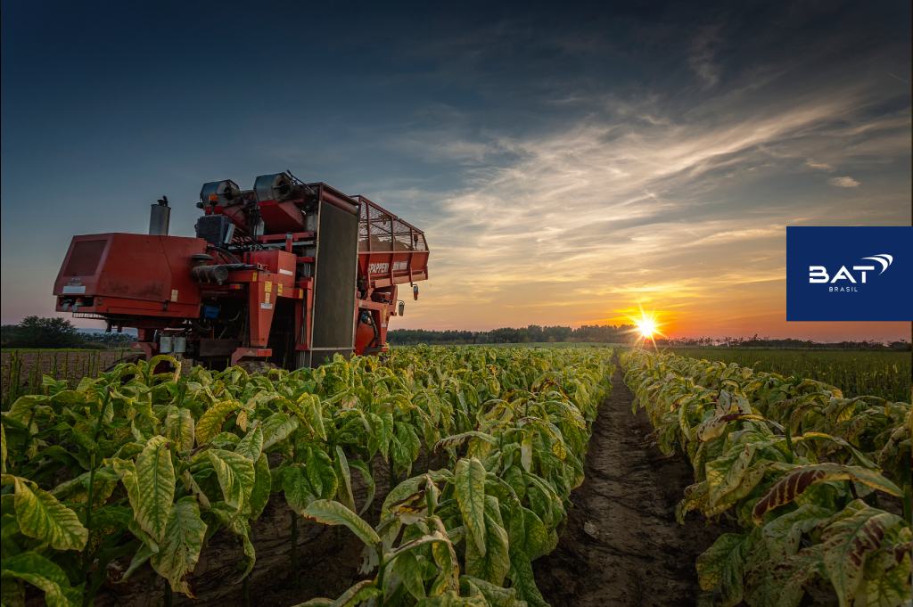 A Agência Carcará de Marketing para o Agronegócio: Seu parceiro para o sucesso no Marketing Rural e AgroMarketing. O agronegócio brasileiro é um gigante em constante crescimento, e para se destacar nesse mercado competitivo, as empresas rurais precisam de uma estratégia de marketing eficiente. É aí que entra a Agência Carcará de AgroMarketing, sua aliada para alcançar o sucesso no Marketing Rural. O marketing rural no agronegócio é crucial para o sucesso de qualquer empresa do setor