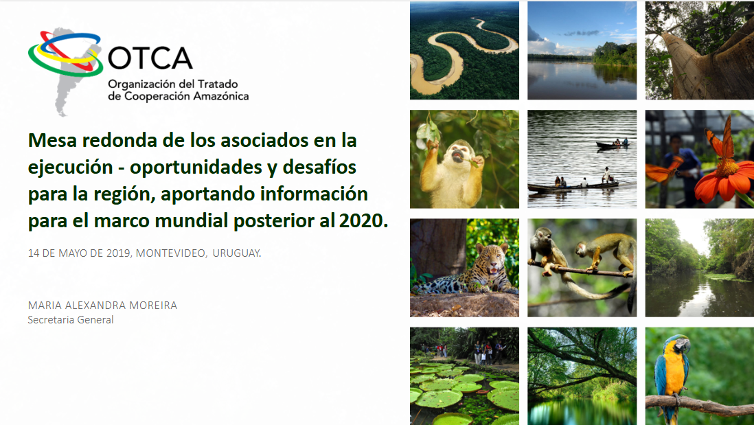 Criação Apresentação de alto impacto para a OTCA, ORA e PRIC