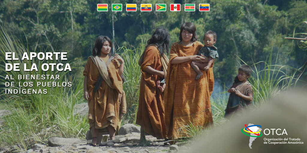 Gestão de rede social OTCA