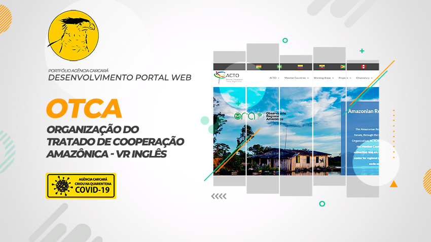 Desenvolvimento Portal WEB OTCA versão Inglês