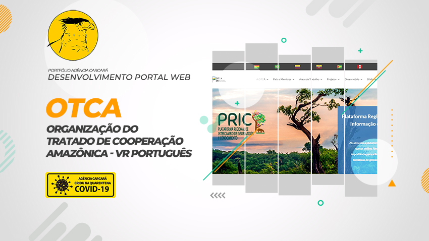 Criação do Portal WEB OTCA versão Português