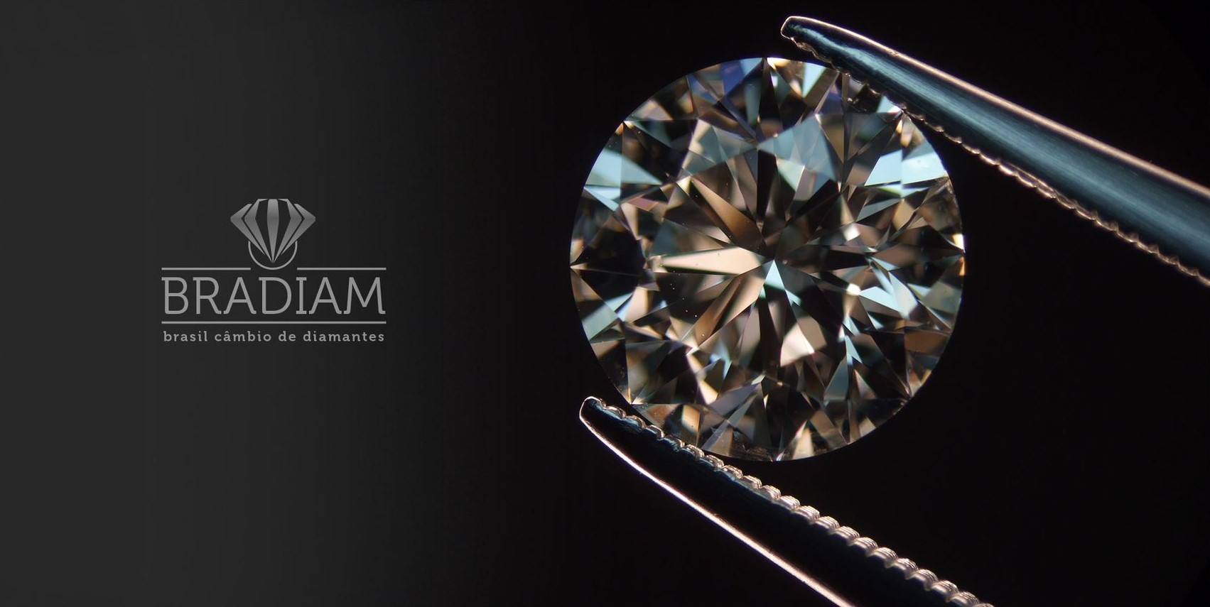 Criação da logo da BRADIAM – Brasil Câmbio de Diamantes