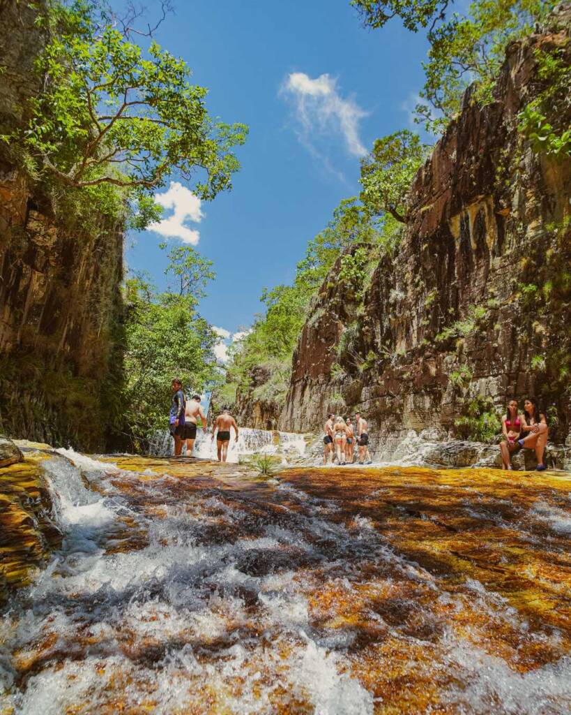 Agromarketing em Minas Gerais: Do campo à tela, como construir marcas de valor global e dominar a venda direta. Minas Gerais é o celeiro de talentos e produtividade que alimenta não apenas o Brasil, mas o mundo. Do café do Sul de Minas aos grãos do Triângulo Mineiro, nossa terra é sinônimo de excelência. No entanto, no agronegócio moderno, produzir bem é apenas metade da batalha. A outra metade é comunicada. Em um cenário onde a rastreabilidade, a sustentabilidade e a conexão direta com o comprador final (seja ele uma trading ou o consumidor na cidade) definem as margens de lucro, o Agromarketing em Minas Gerais deixou de ser um "luxo" para se tornar uma questão de sobrevivência e soberania.

Muitos produtores e cooperativas mineiras ainda estão presos ao modelo antigo: dependência total de atravessadores, marcas invisíveis e uma comunicação que não reflete a tecnologia de ponta usada dentro da fazenda. Na Agência Carcará, com mais de uma década de experiência, sabemos que a transformação do agro mineiro passa por tirar a marca da sombra e colocá-la sob o holofote da autoridade digital.
