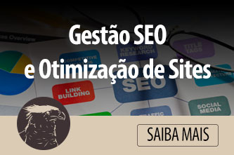 gestão_SEO_otimização_de_site-publicidade-agencia-brasilia