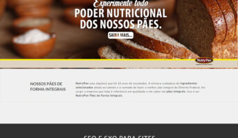 Gestão de SEO e otimização de site em Brasíllia para a fábrica de pães integrais NutryPan