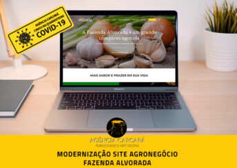 Modernização do site da Fazenda Alvorada no Goiás. Talvez o principal elemento para o marketing no agronegócio é um website estruturado.