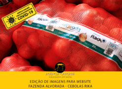 Um dos elementos mais importantes para o Marketing do Agronegócio da Fazenda Alvorada (Cebolas RIKA) é o uso de imagens de qualidade no novo site.