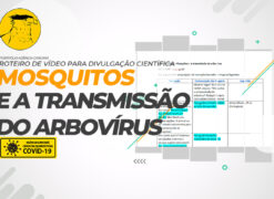 Elaboração do roteiro para vídeo de divulgação científica da UNB: Mosquitos e a transmissão de arbovírus