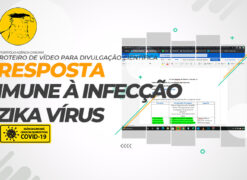 Elaboração do roteiro para vídeo de divulgação científica da UNB: Resposta imune à infecção pelo Zika vírus