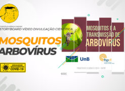 Elaboração do Storyboard para o vídeo de divulgação científica da UNB: Mosquitos e a transmissão de arbovírus