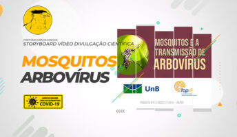Elaboração do Storyboard para o vídeo de divulgação científica da UNB: Mosquitos e a transmissão de arbovírus