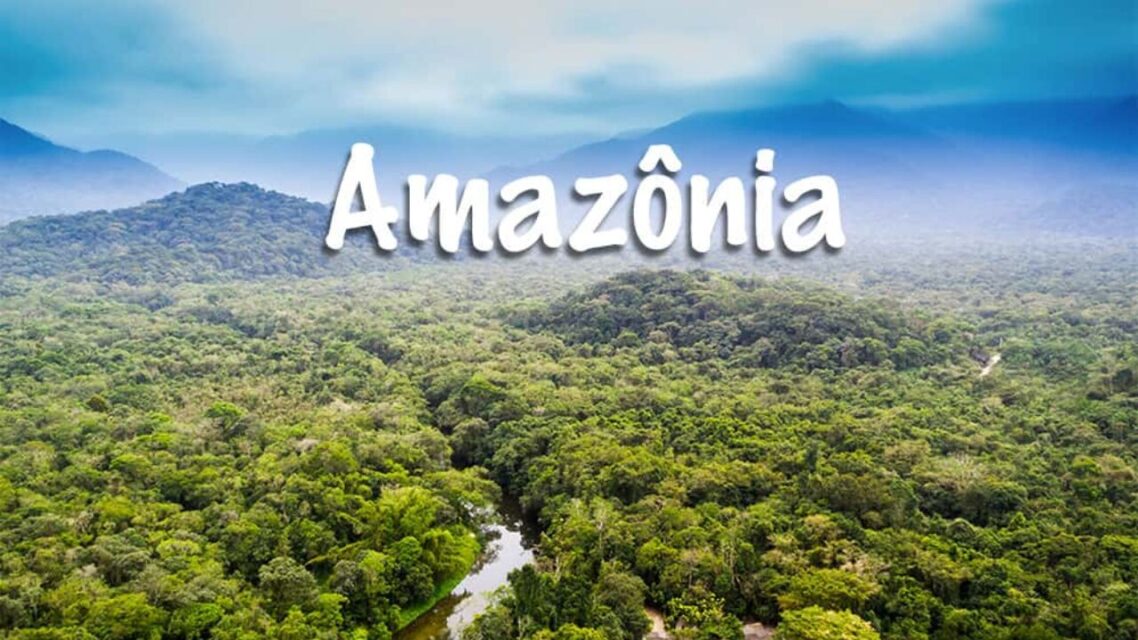 A comunicação, o marketing e a publicidade são ferramentas importantes para promover projetos em lugares específicos, como na Amazônia, por exemplo, e assim atrair a atenção de potenciais investidores, parceiros e outros interessados no negócio que lá está presente. Fundo Amazônia novo governo Lula