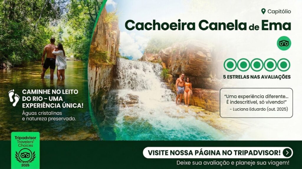 Gestão de Tripadvisor e o poder das avaliações e como elas impactam seus negócios. No competitivo universo do turismo e da hospitalidade, a reputação online não é mais um diferencial, é a moeda mais valiosa do seu negócio. E, quando se fala em reputação no setor de viagens, uma plataforma reina suprema: o TripAdvisor. Com milhões de usuários buscando ativamente por recomendações, dicas e, acima de tudo, confiança, estar bem posicionado no TripAdvisor é crucial para atrair novos clientes e garantir o sucesso do seu empreendimento. No entanto, muitos gestores acreditam que basta criar um perfil e esperar as avaliações chegarem. Isso é um erro. A Gestão de TripAdvisor é uma disciplina estratégica, que envolve muito mais do que apenas monitorar comentários. É sobre construir uma presença ativa, engajar com a comunidade, otimizar seu perfil e, fundamentalmente, transformar o feedback dos seus clientes em uma poderosa ferramenta de marketing. Na Agência Carcará, somos especialistas em transformar a reputação dos nossos clientes em resultados concretos.