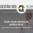 Elevando o Perfil: O Impacto Duradouro do SEO no Site do Studio Sandra Martins pela Agência Carcará de publicidade em Brasília