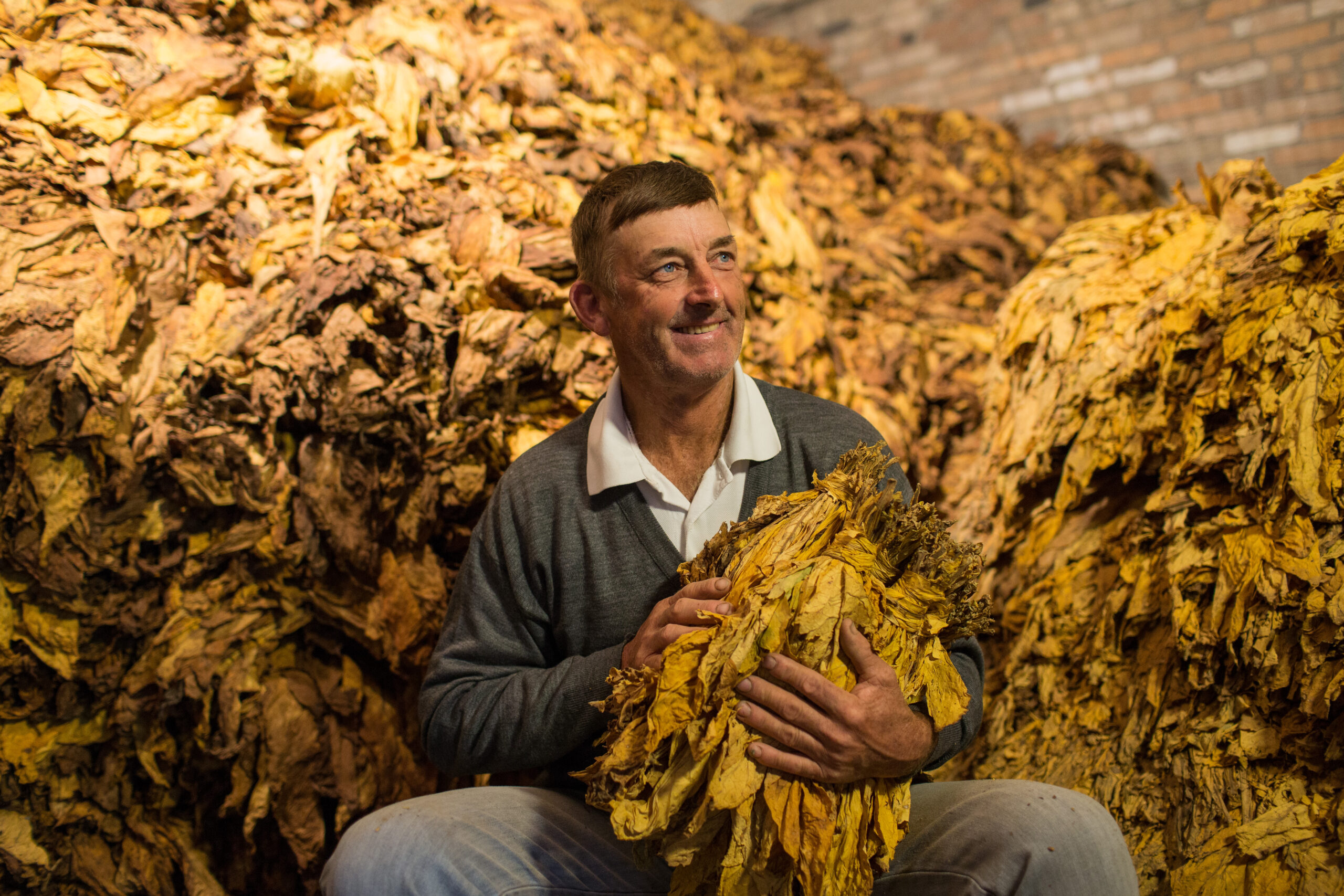Produção de vídeos promocionais para British American Tobacco