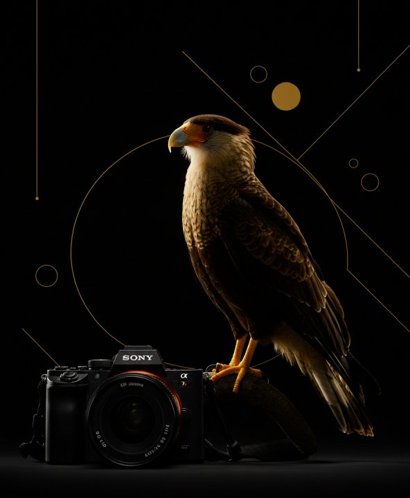 Fotografia Corporativa ou Empresarial em brasilia agencia carcara publicidade marketing digital