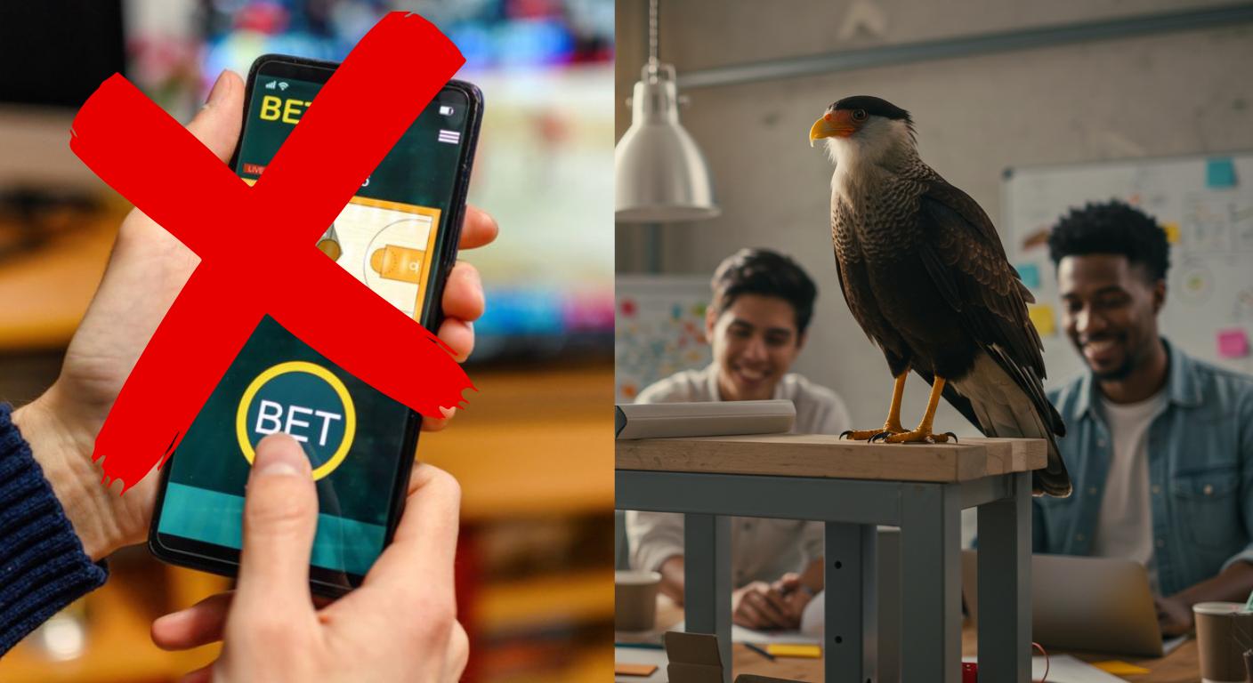 Marketing Digital para Plataformas de Apostas (BETs) porque não fazemos!
