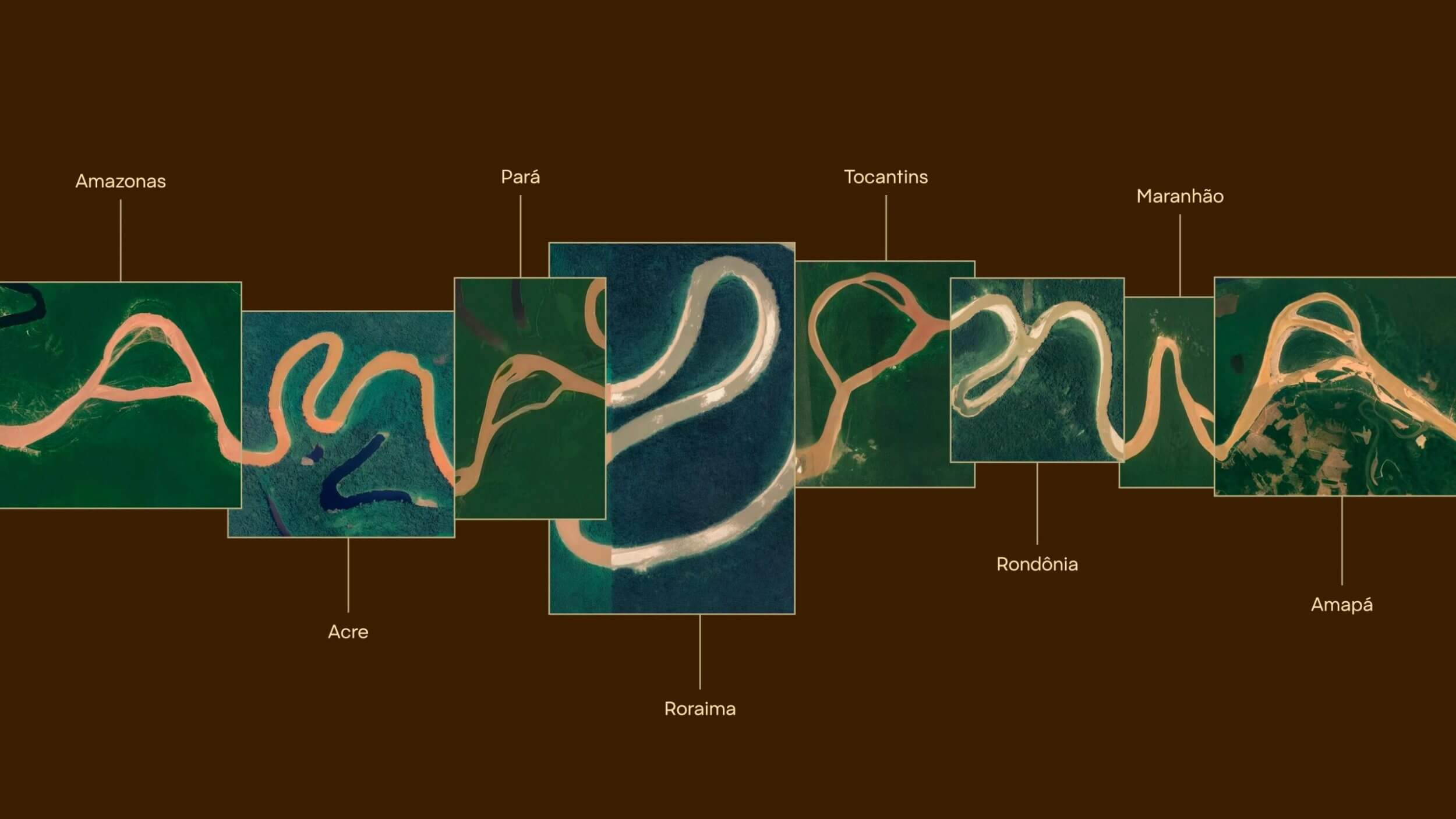 A Amazônia agora tem marca oficial! O que é uma marca? Para muitos, é um logo, um conjunto de cores, uma tipografia. Para nós, da Agência Carcará, uma marca é a tradução visual da alma de um negócio, de um lugar, de uma ideia. E poucas vezes na história do design brasileiro essa definição se materializou de forma tão poética e poderosa quanto no novo projeto de branding da Amazônia Legal Brasileira. Um território que abrange 60% do Brasil, lar de 28 milhões de pessoas e de uma biodiversidade incalculável, finalmente ganhou uma identidade visual unificada. E ela não foi desenhada. Ela foi descoberta. Este projeto, uma iniciativa da RAI (Rotas Amazônicas Integradas) e da Embratur, com a execução brilhante da FutureBrand, é mais do que um case de design. É um manifesto sobre autenticidade, propósito e o poder de encontrar a essência no lugar mais óbvio e, ao mesmo tempo, mais profundo: na própria natureza.