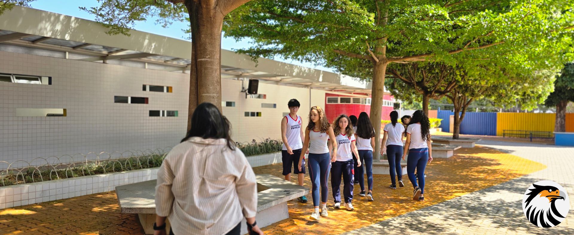 Campanha de matrículas: como integrar vídeos, anúncios e landing pages para gerar inscrições
Para qualquer instituição de ensino — seja ela um colégio de educação básica, uma escola bilíngue de tempo integral ou um centro universitário regional —, a temporada de matrículas representa o período mais crítico do calendário de governança. As decisões estratégicas, os investimentos em comunicação e a eficiência do processo de captação executados em uma janela de apenas noventa dias definem, matematicamente, o faturamento, a taxa de ocupação das salas de aula e a saúde financeira dos próximos doze meses da entidade.

No entanto, ao auditar a operação de dezenas de colégios em todo o país, deparamo-nos frequentemente com um gargalo estrutural perigoso: a entrega da responsabilidade da campanha mais vital do ano para fluxos operacionais amadores ou desintegrados. Muitos gestores ainda acreditam que fazer campanha de matrículas resume-se a impulsionar algumas fotos institucionais no Instagram e estender uma faixa comemorativa no portão principal da escola.

Aqui quem fala é Alexandre Augusto, Diretor de Estratégia da Agência Carcará. Meu DNA profissional é essencialmente híbrido: opero na intersecção exata entre a lógica matemática da Análise de Sistemas e a psicologia de conexão e persuasão da Comunicação Social. Neste manifesto de alta densidade, vamos demonstrar por que matricular novos alunos na era dos algoritmos com Inteligência Artificial exige subir o sarrafo da gestão.

Você compreenderá como a integração milimétrica entre produção audiovisual contínua, tráfego pago multicanal, landing pages sem atritos e alinhamento com a secretaria escolar forma o único ecossistema capaz de gerar matrículas previsíveis para o seu colégio.